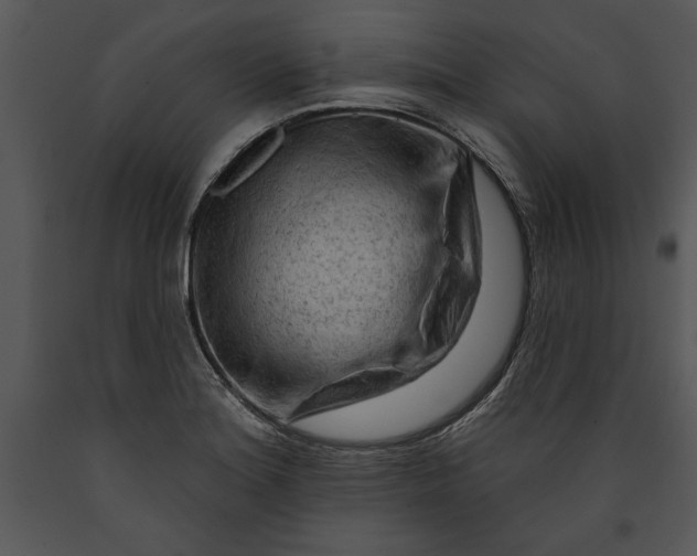 X0000089661180200707191642