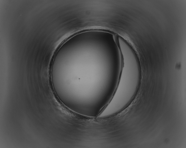 X0000089661181200707191642