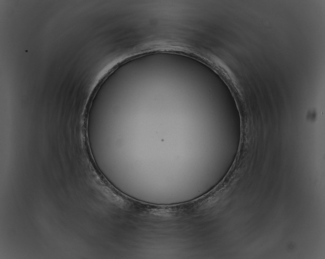 X0000089661182200707191641