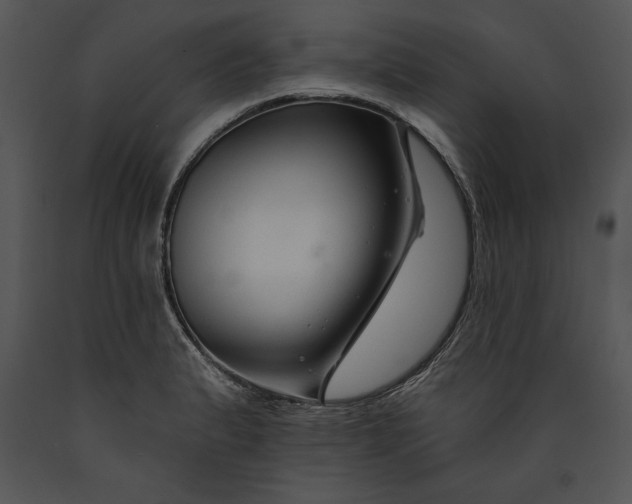 X0000089661183200707191641