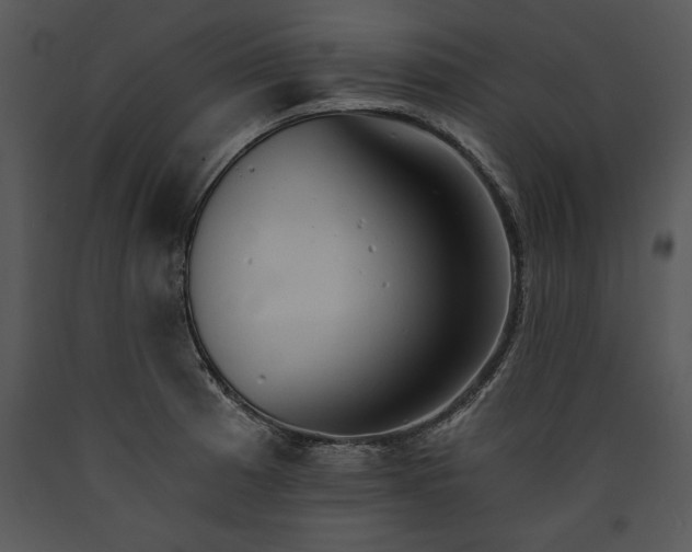 X0000089661185200707191641