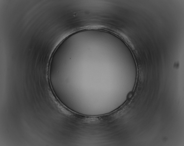 X0000089661186200707191641