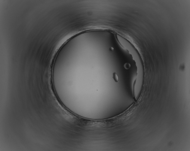 X0000089661187200707191641