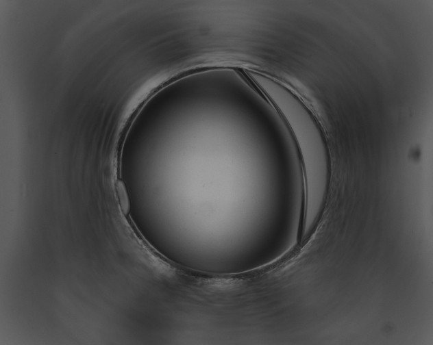 X0000089661188200707191641