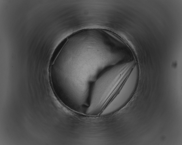 X0000089661189200707191641