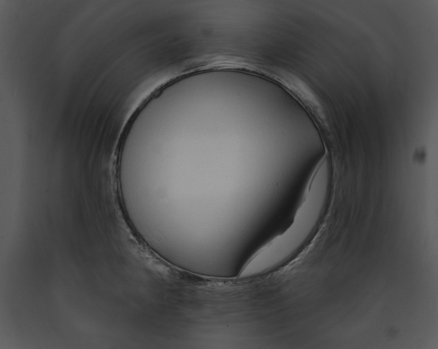 X0000089661190200707191641