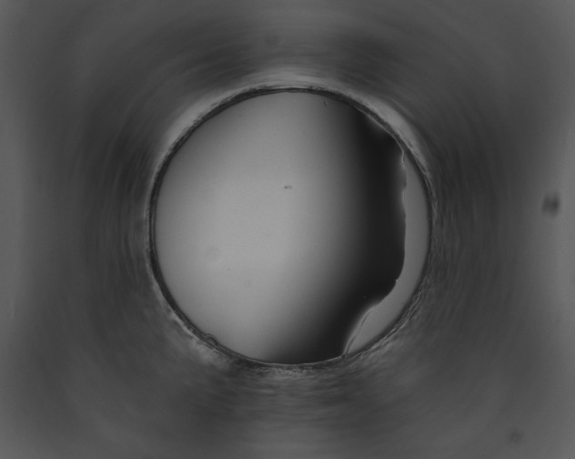 X0000089661191200707191641