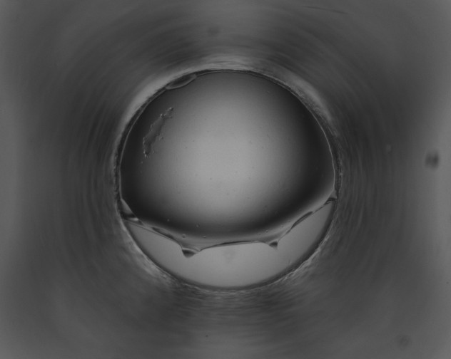 X0000089661192200707191641