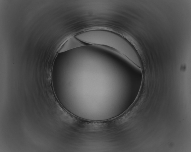 X0000089661193200707191641