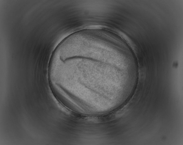 X0000089661194200707191641