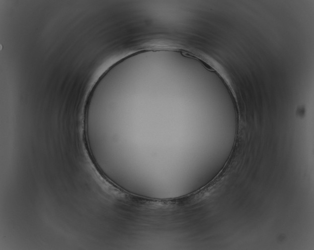 X0000089661195200707191641