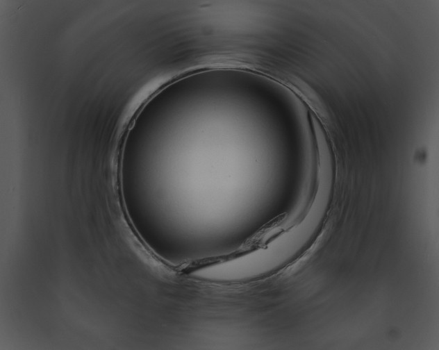 X0000089661196200707191641