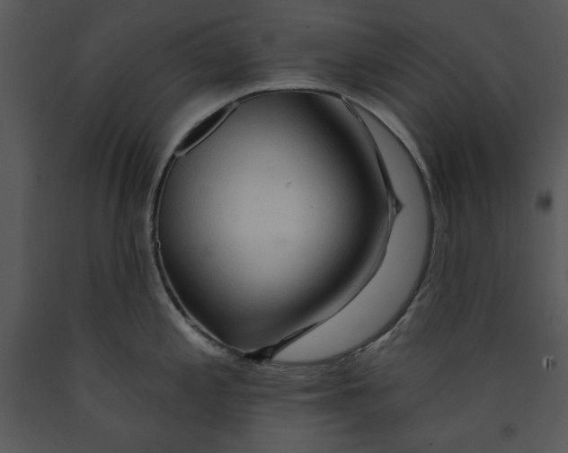 X0000089661197200707191641