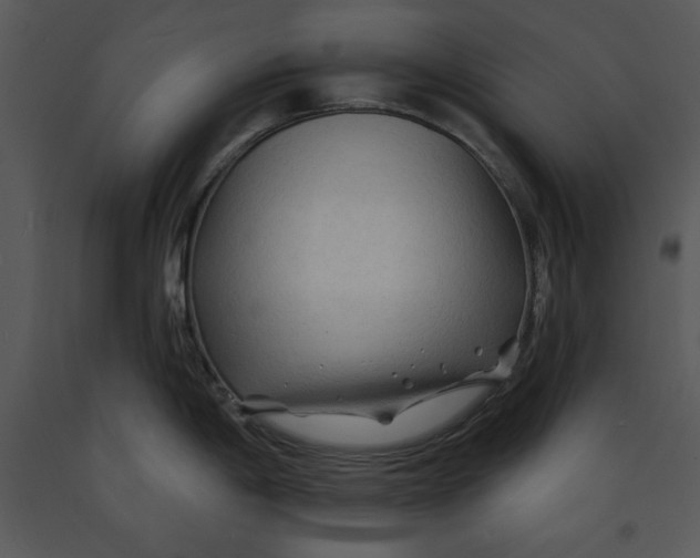 X0000089661198200707191641