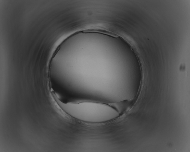 X0000089661200200707191641