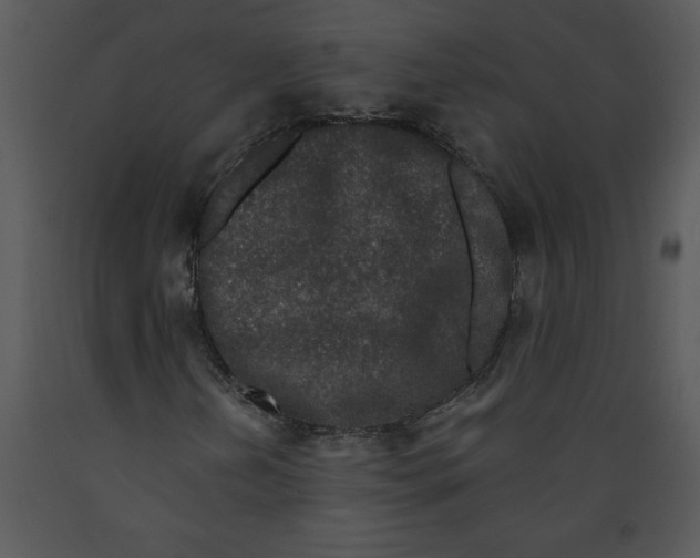 X0000089661202200707191641