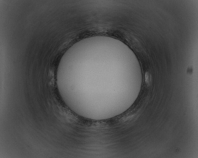X0000089661203200707191641