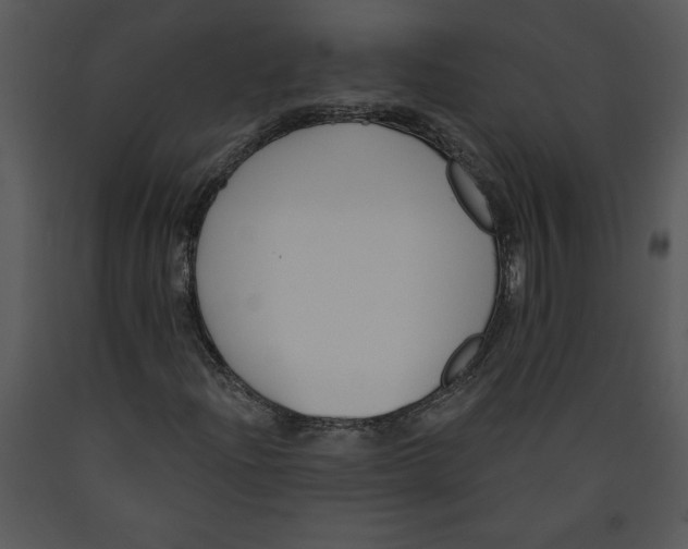 X0000089661204200707191641