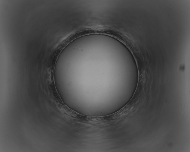 X0000089661205200707191641