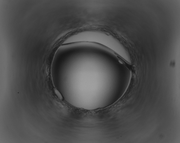 X0000089661206200707191641