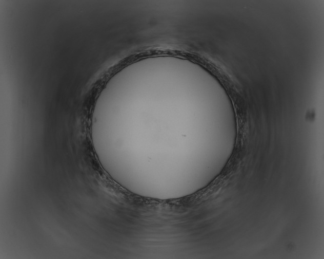 X0000089661207200707191641