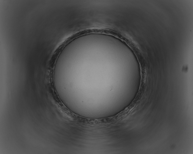 X0000089661208200707191641