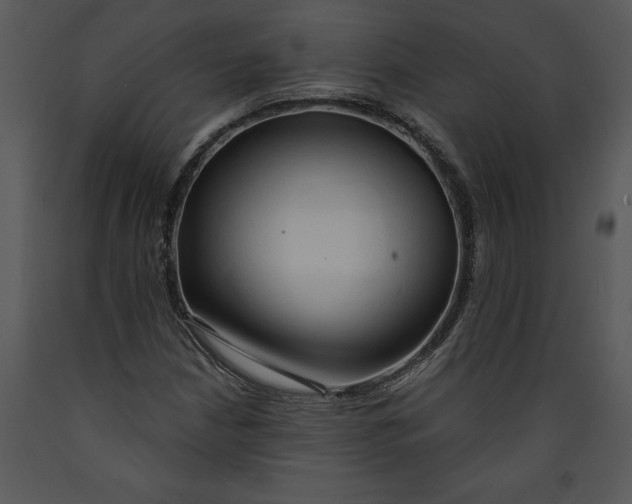 X0000089661210200707191641