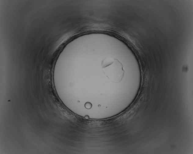 X0000089661211200707191641