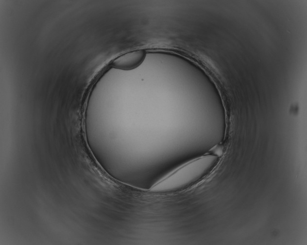 X0000089661212200707191641