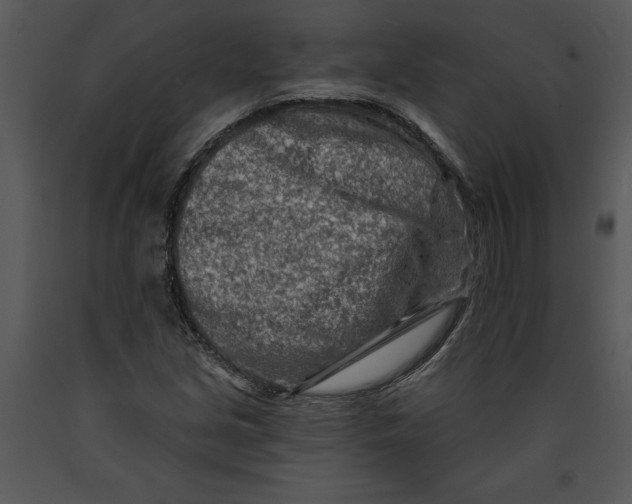 X0000089661213200707191641
