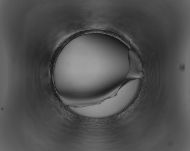 X0000089661214200707191641