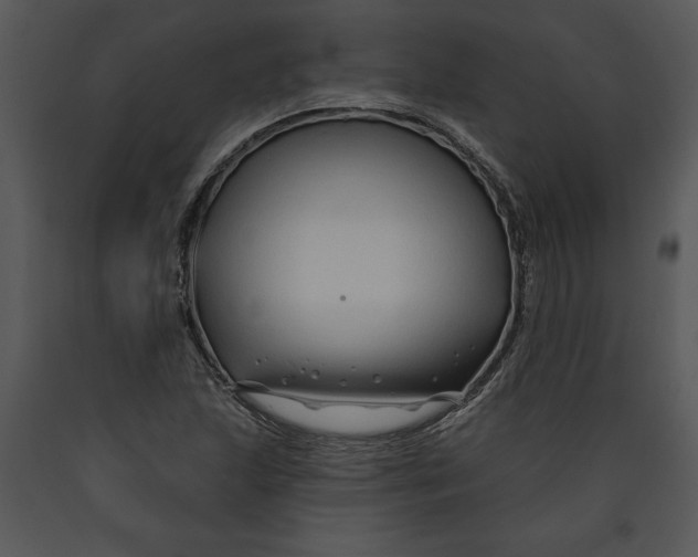 X0000089661215200707191641