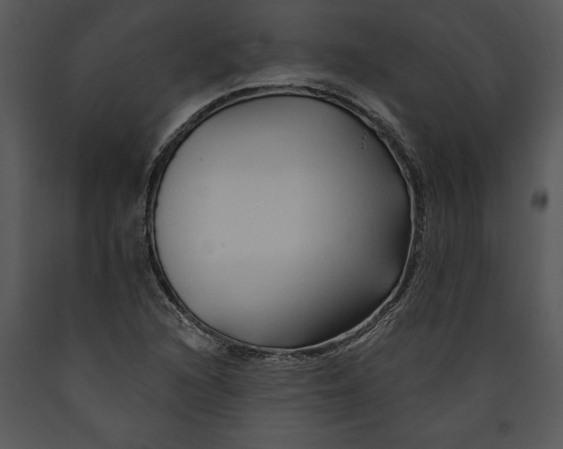 X0000089661216200707191641