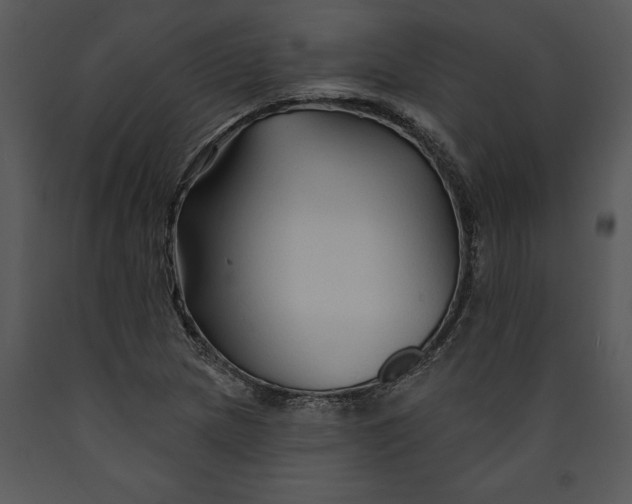 X0000089661217200707191641
