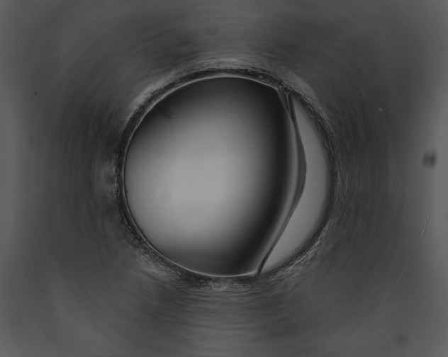 X0000089661218200707191641