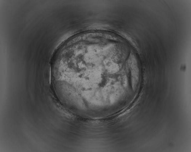 X0000089661219200707191641