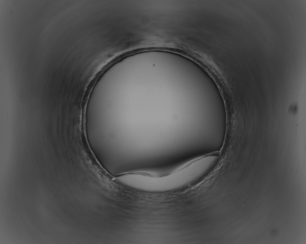 X0000089661220200707191641