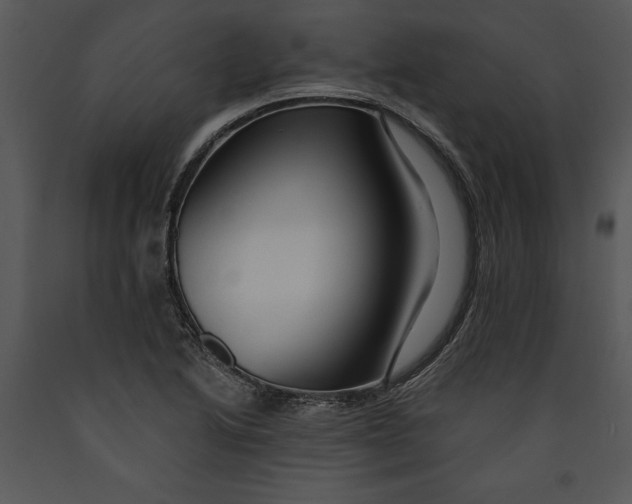 X0000089661222200707191641