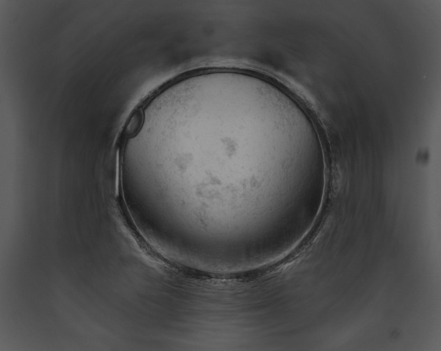 X0000089661223200707191641