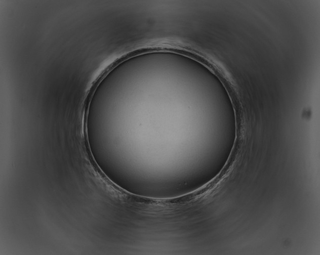 X0000089661224200707191641