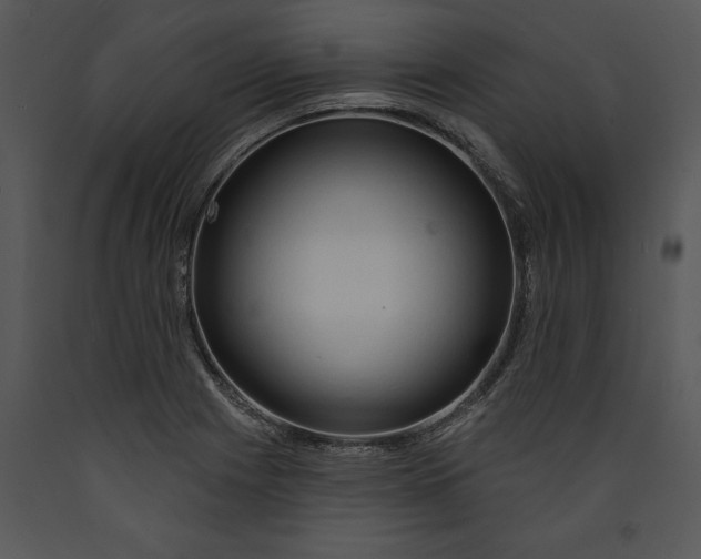X0000089661225200707191641