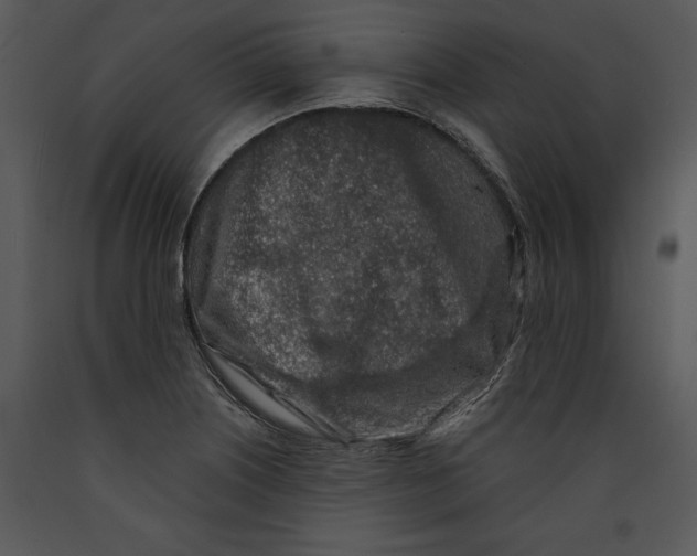 X0000089661226200707191641