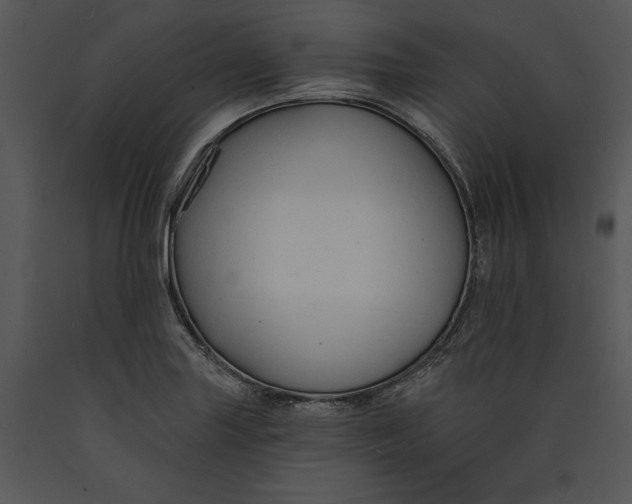 X0000089661227200707191641