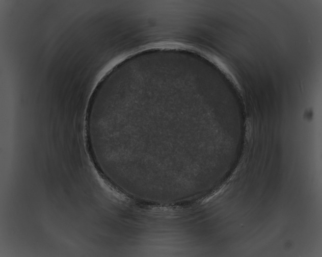 X0000089661229200707191641