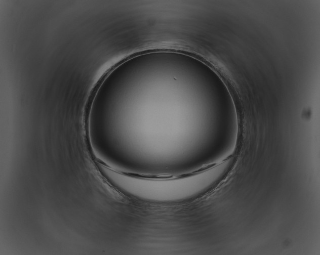 X0000089661230200707191641