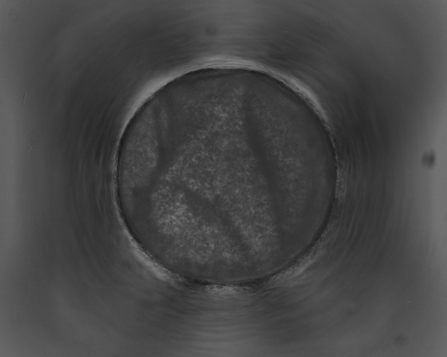 X0000089661231200707191641