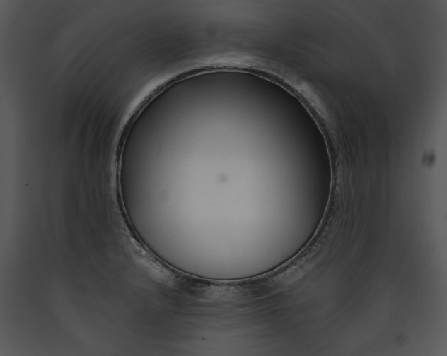 X0000089661232200707191641
