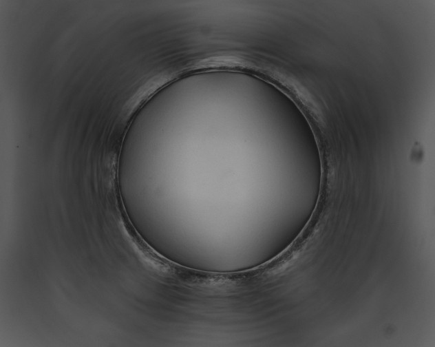 X0000089661233200707191641