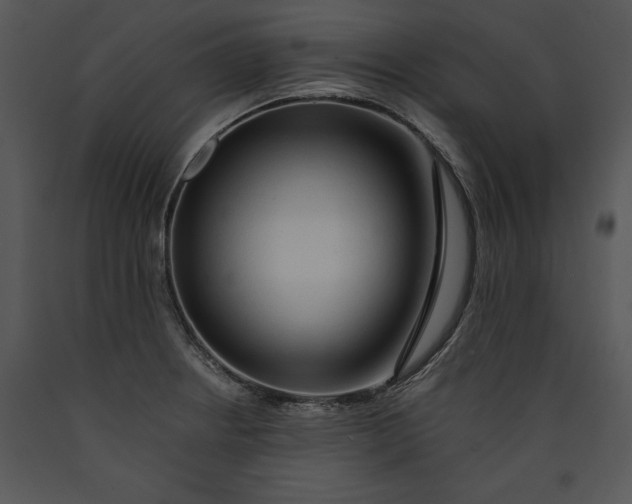 X0000089661234200707191641