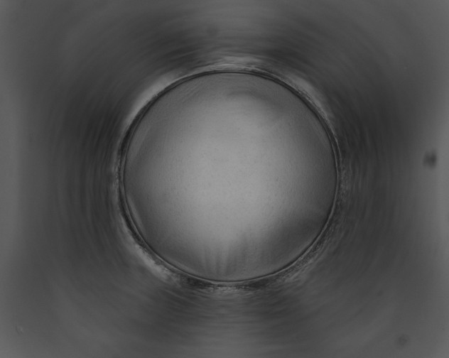 X0000089661235200707191641